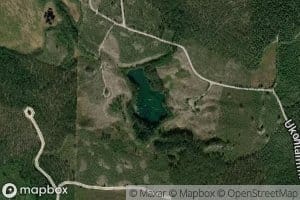 Naalinlampi