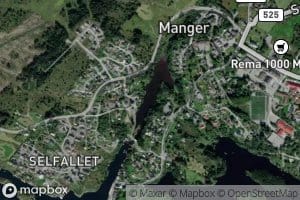 Mangerspollen