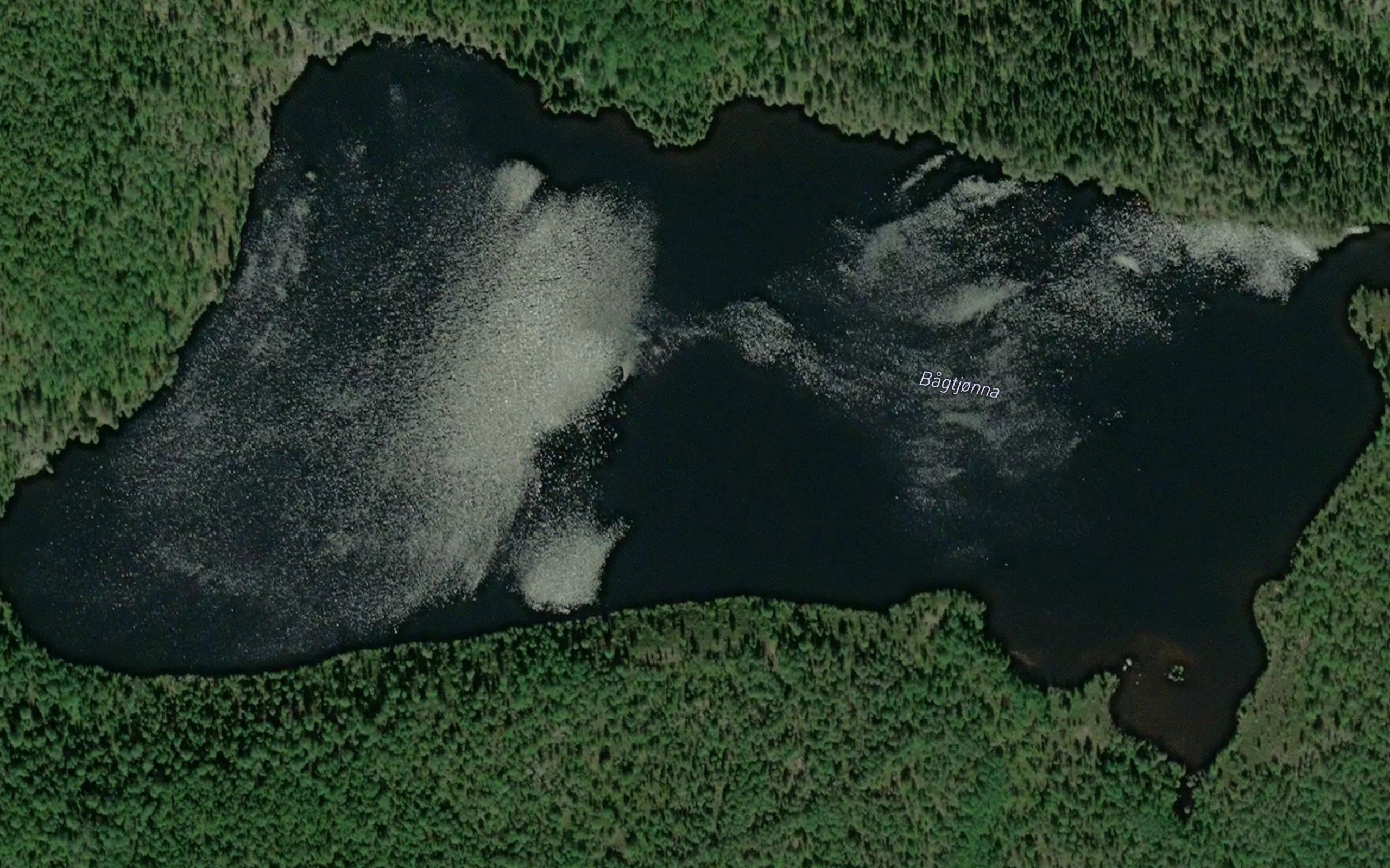 Bagtjorna