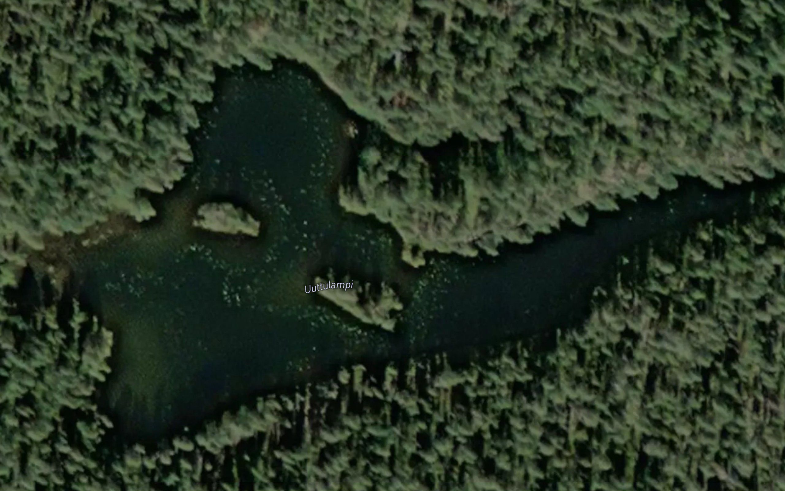 Uuttulampi