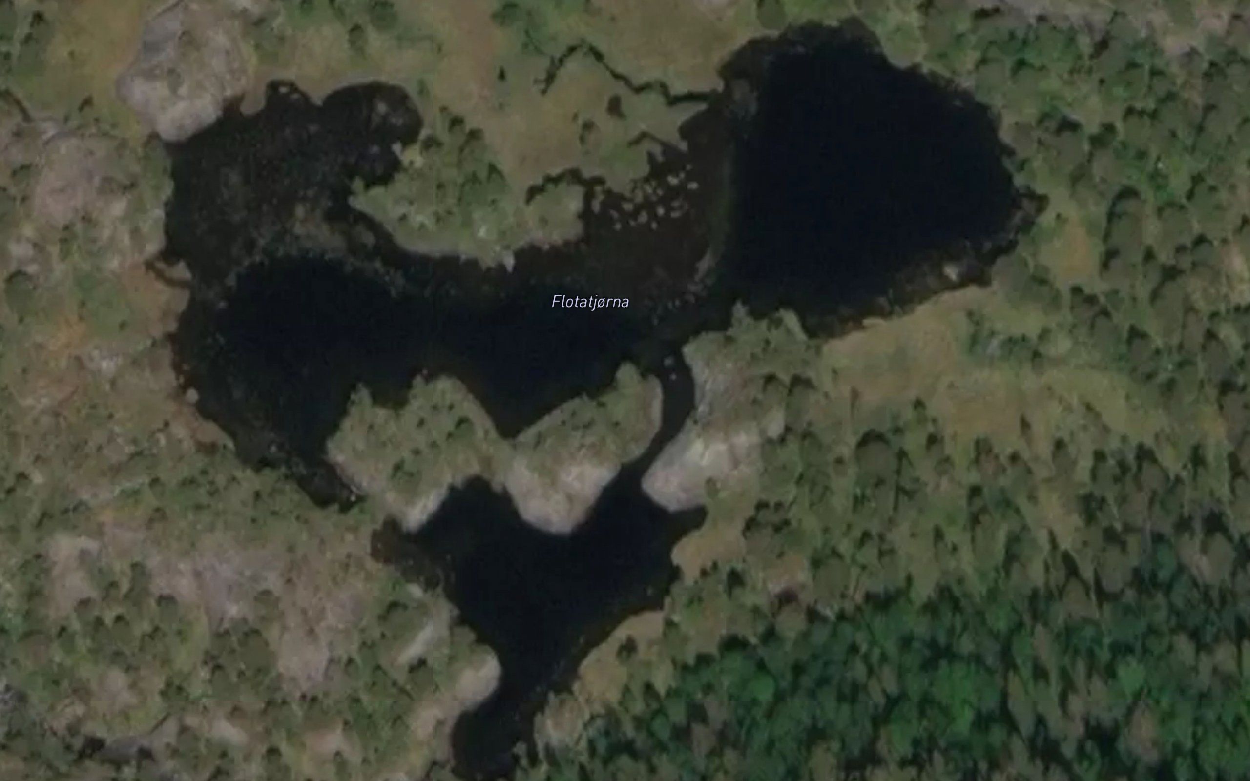 Flotatjorna