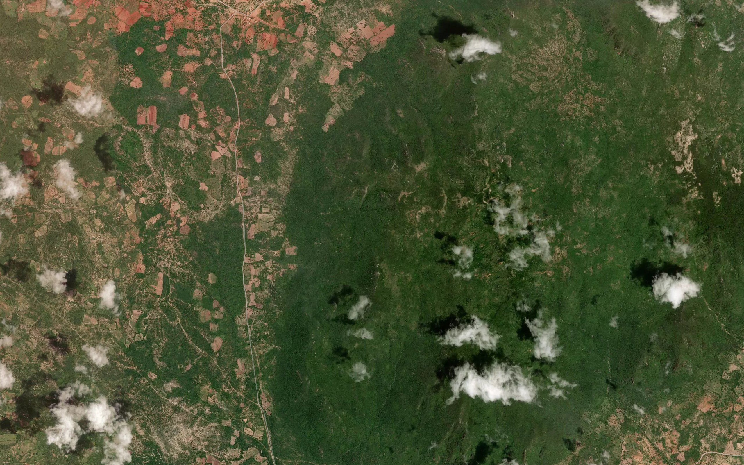 Kwamutia
