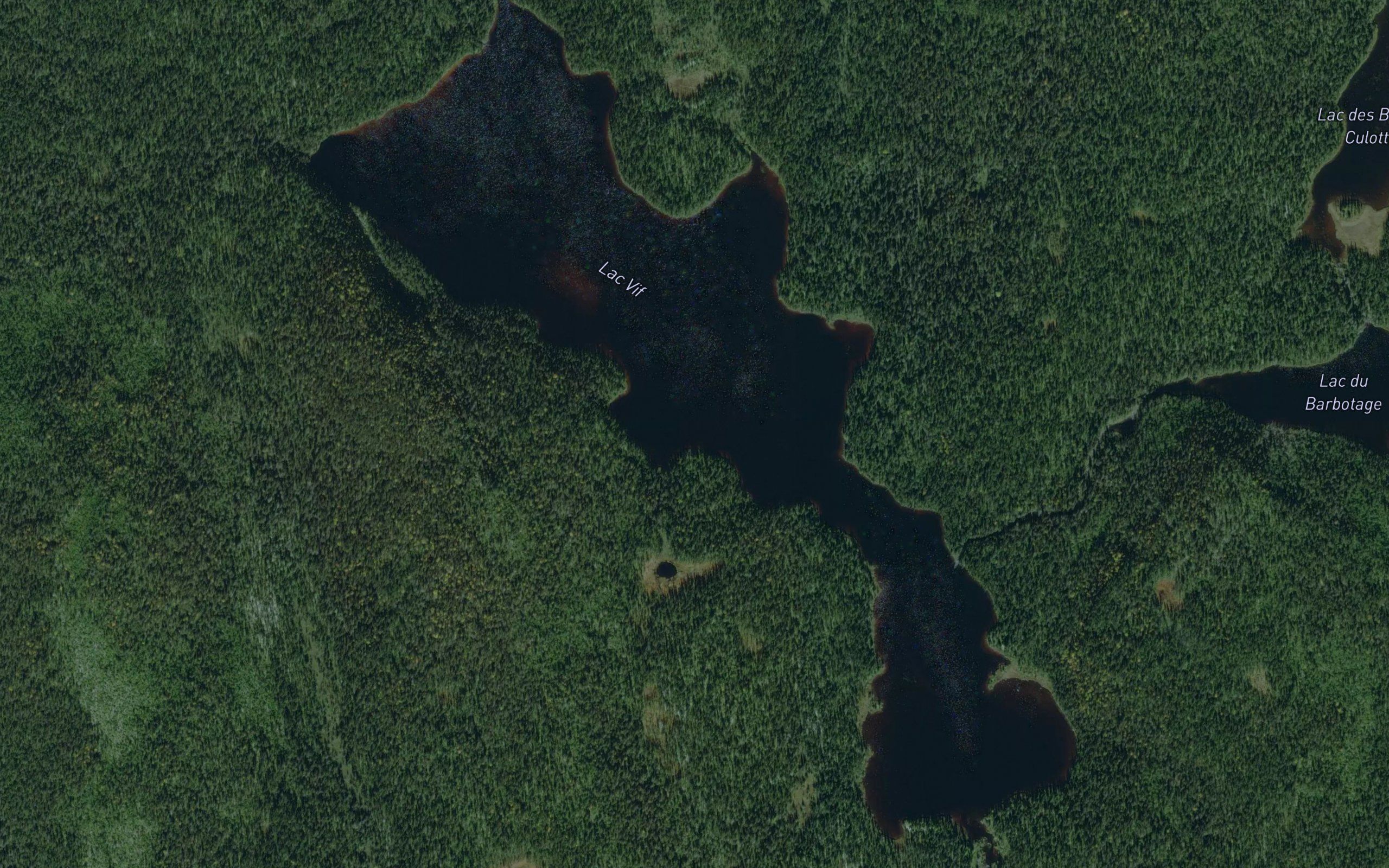 Lac Vif