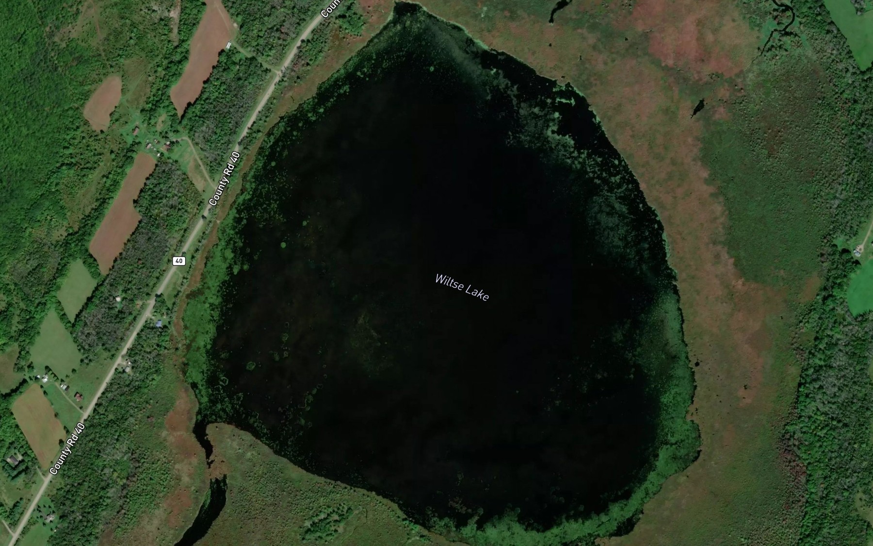Satellite map of the Wiltse Lake