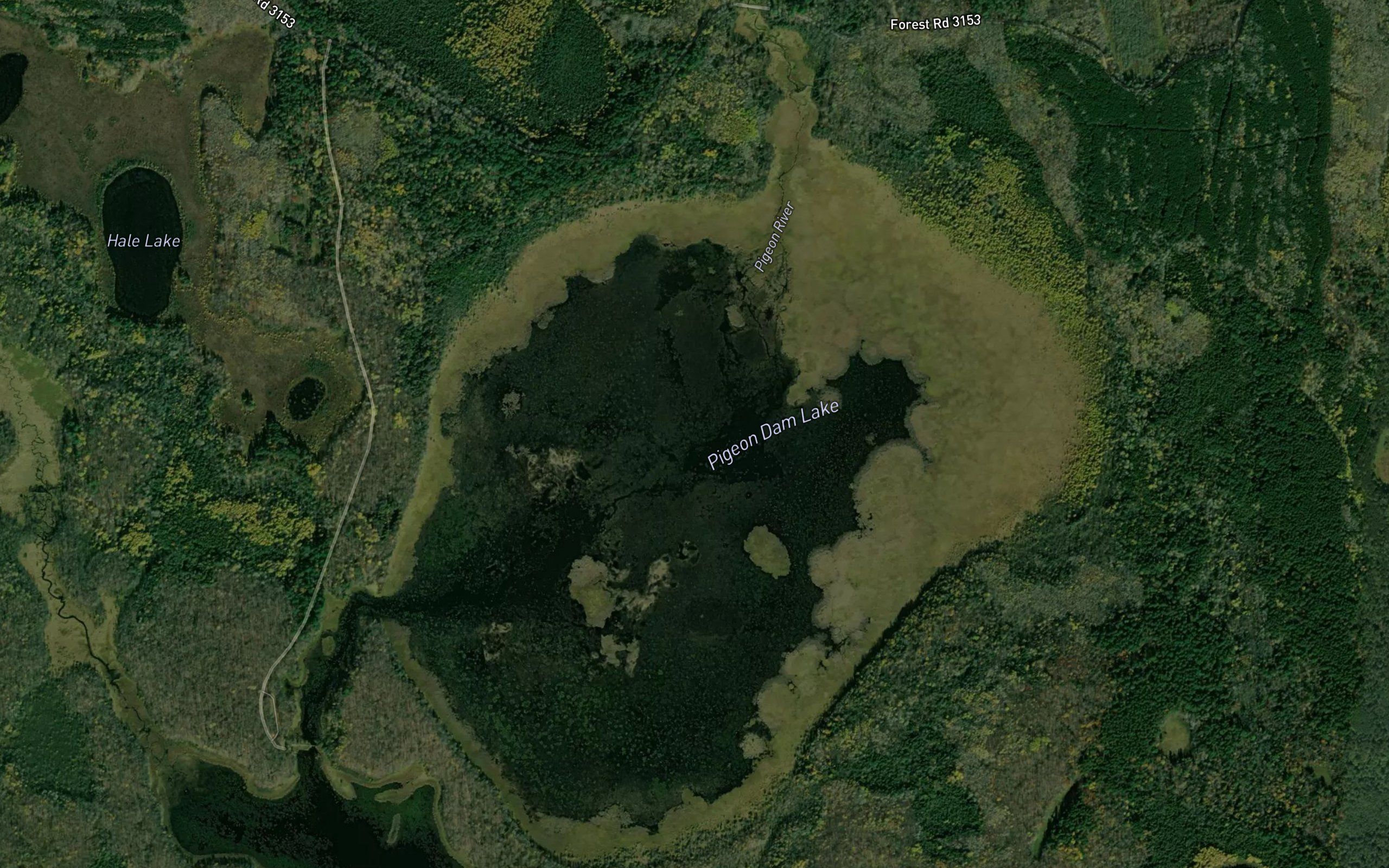 Pigeon Dam Lake