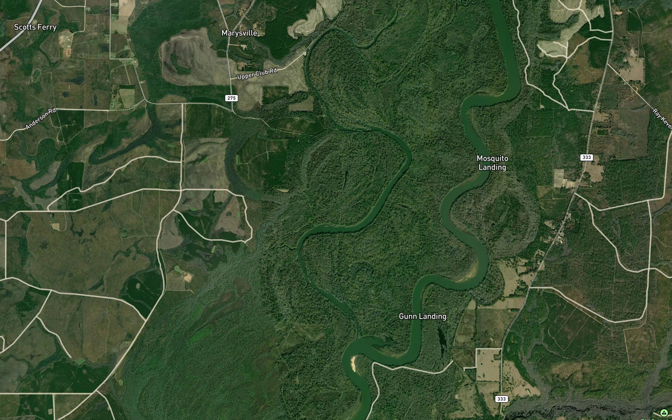 Raccoon Slough