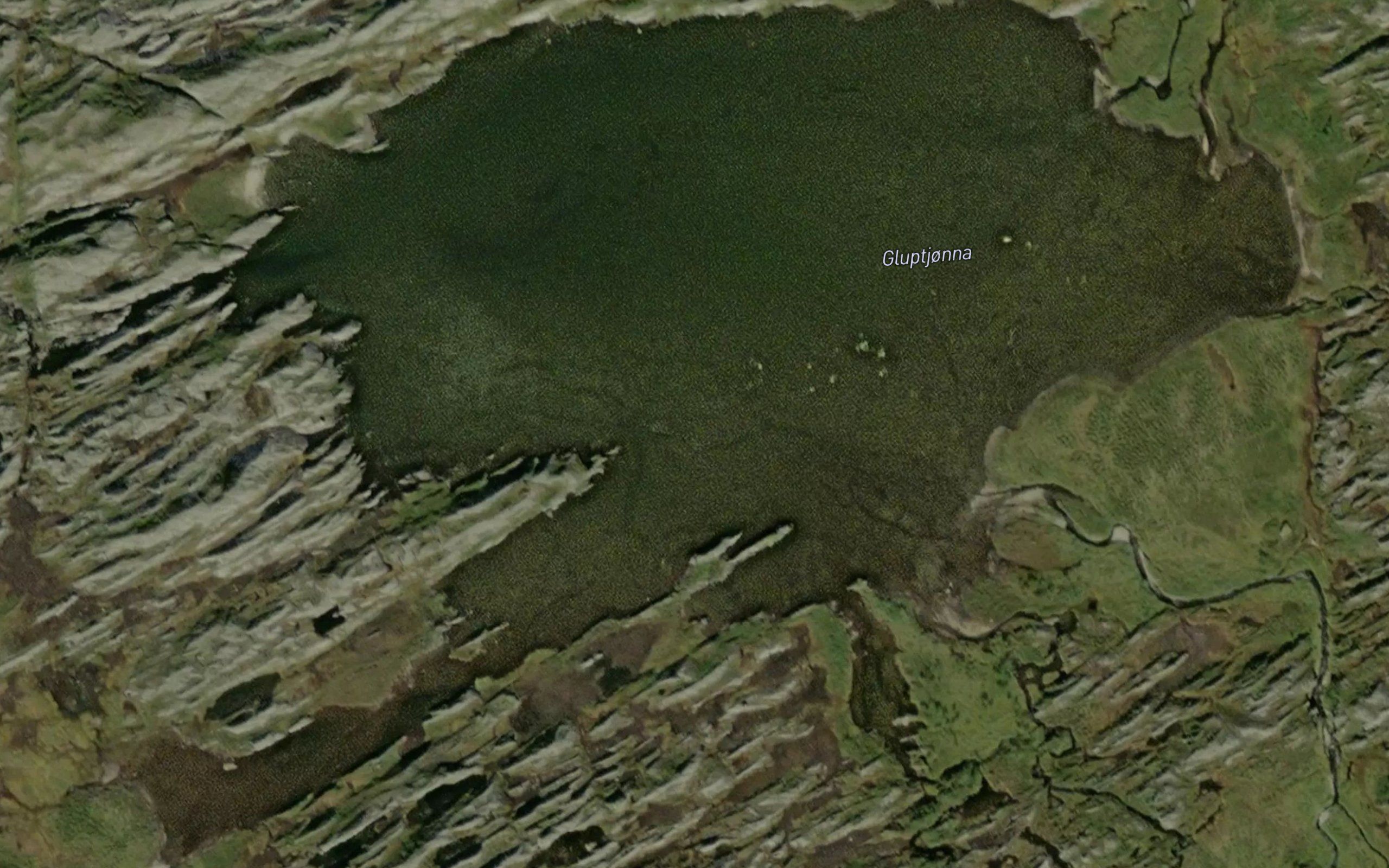 Gluptjorna