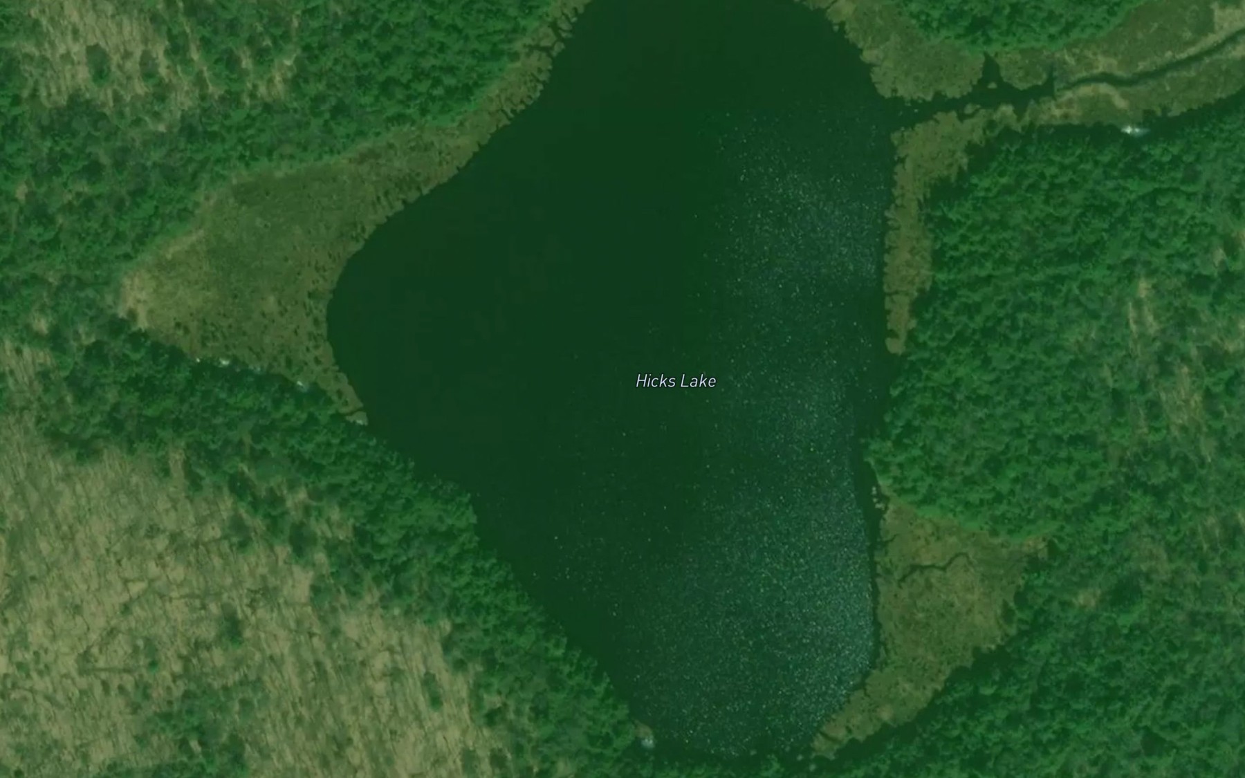 Satellite map of the Hicks Lake