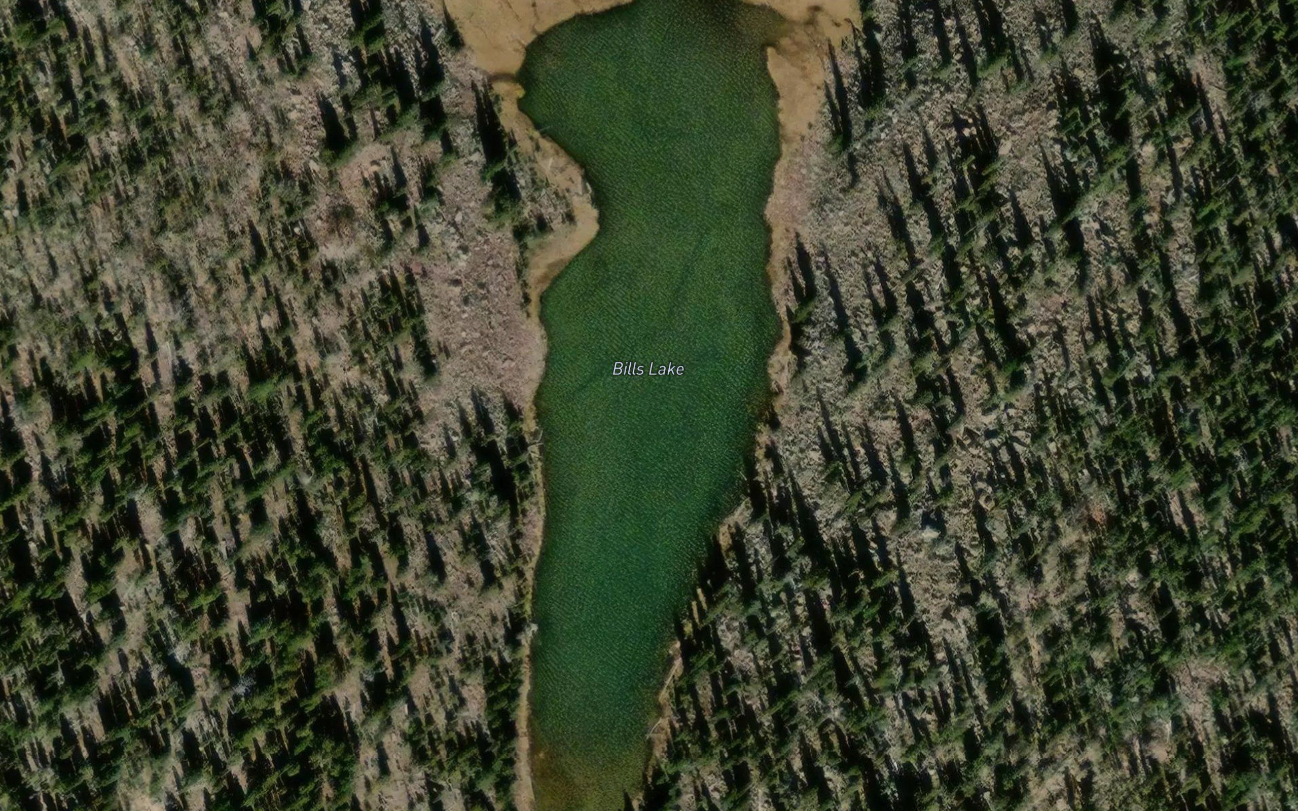 Bills Lake