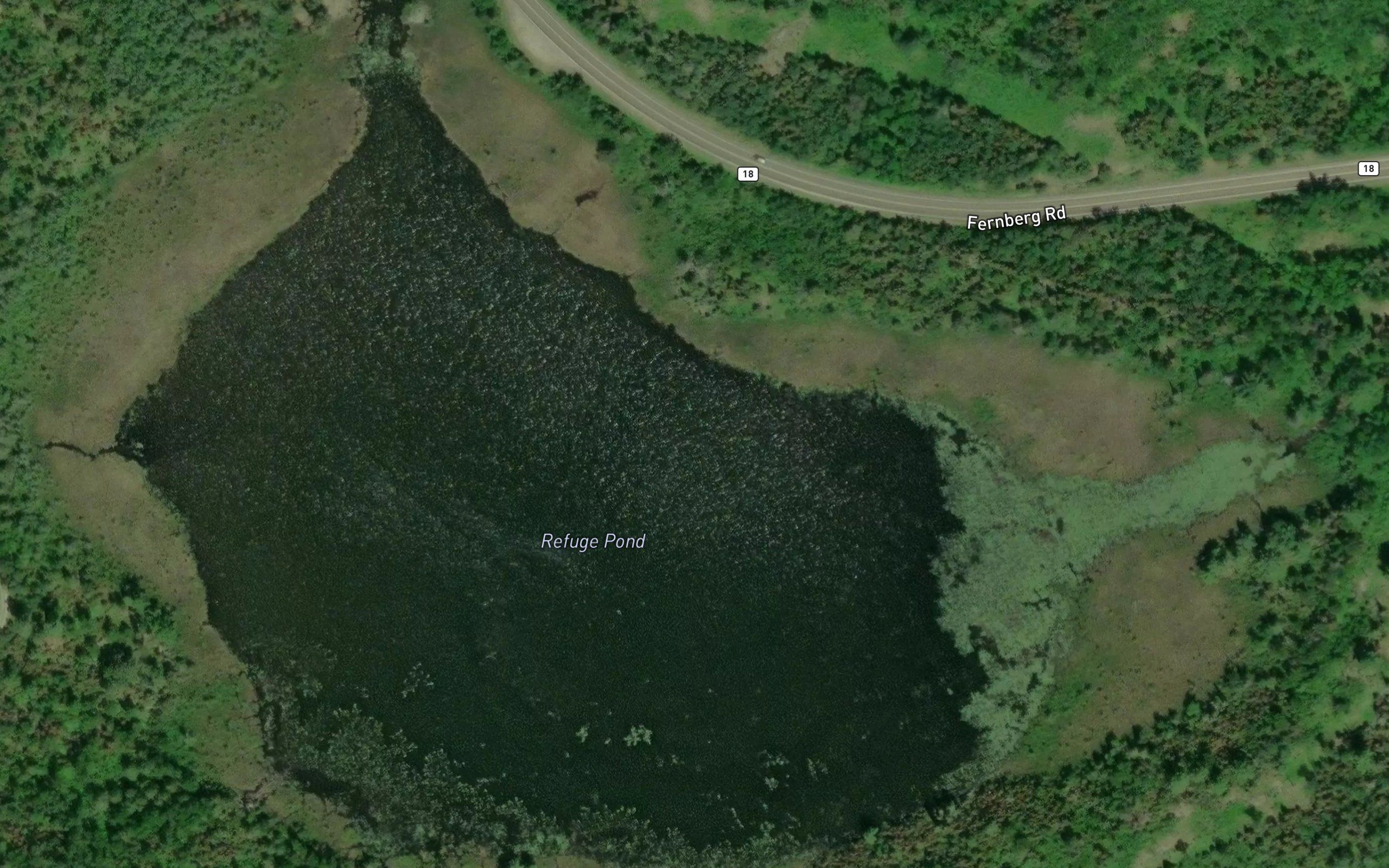 Refuge Pond