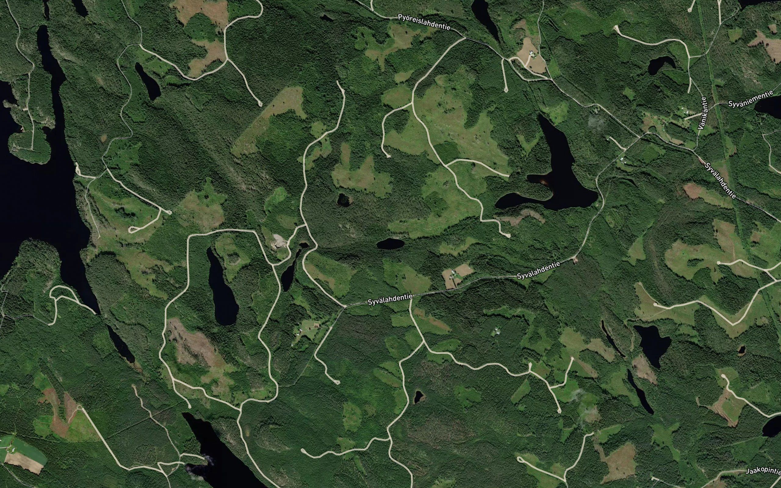 Hyrsynlampi