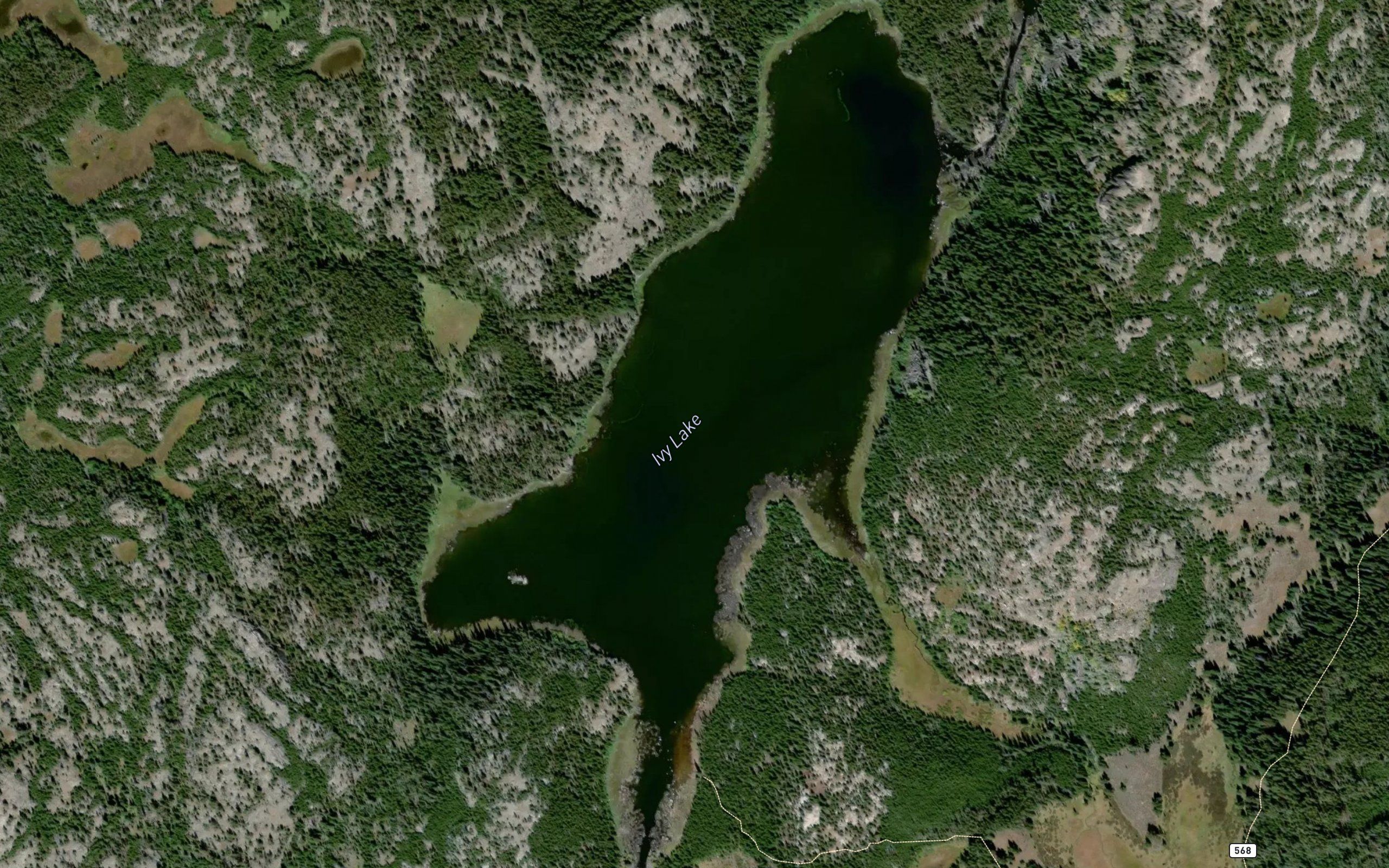 Ivy Lake
