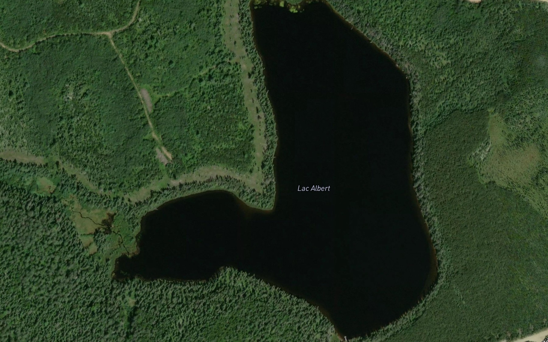 Satellite map of the Lac Albert