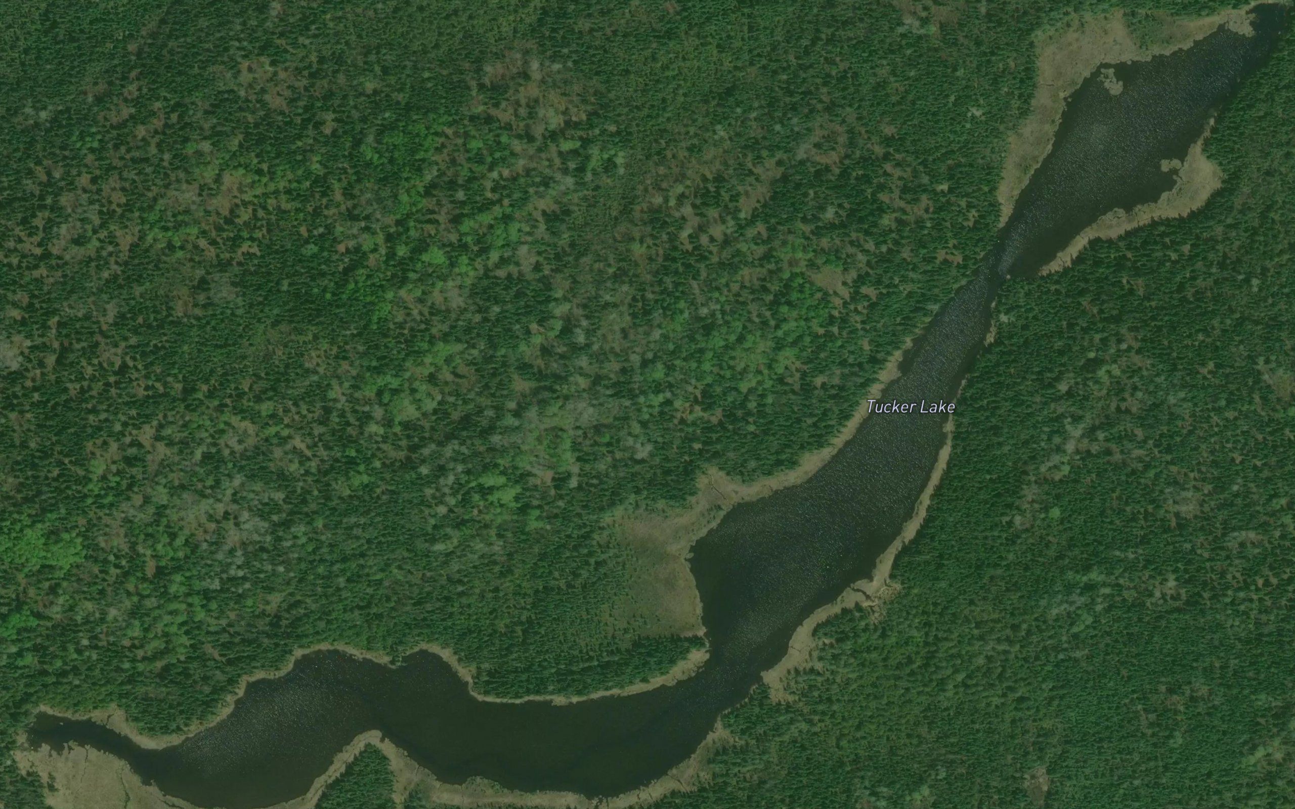 Tucker Lake