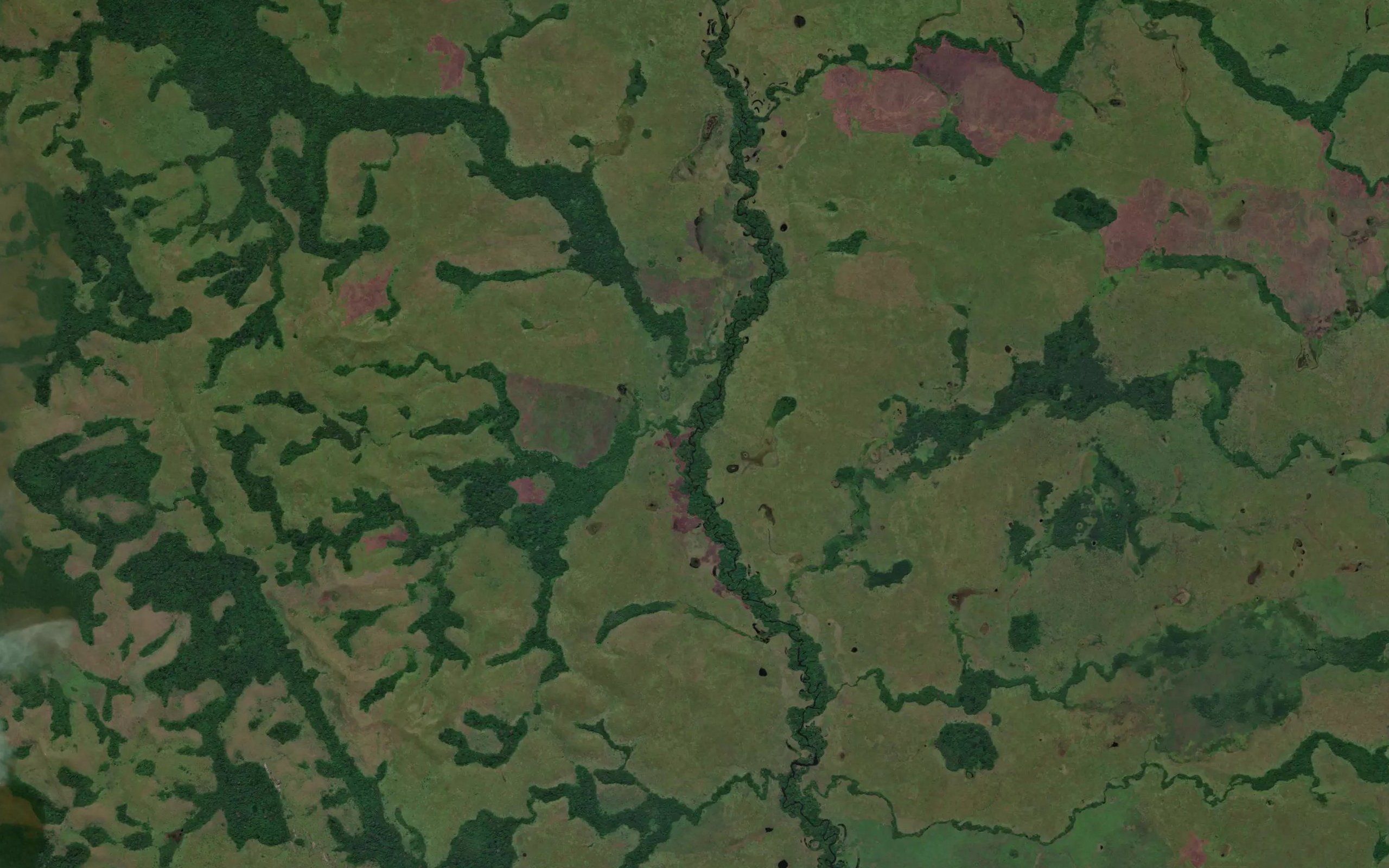 Ngongolo