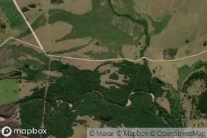 Arroyo Sauce de Olimar