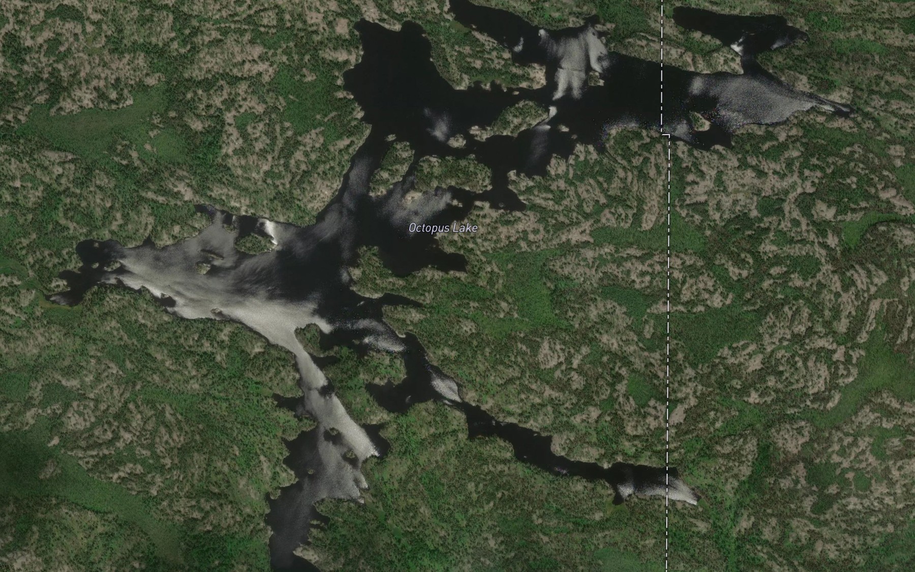 Satellite map of the Octopus Lake