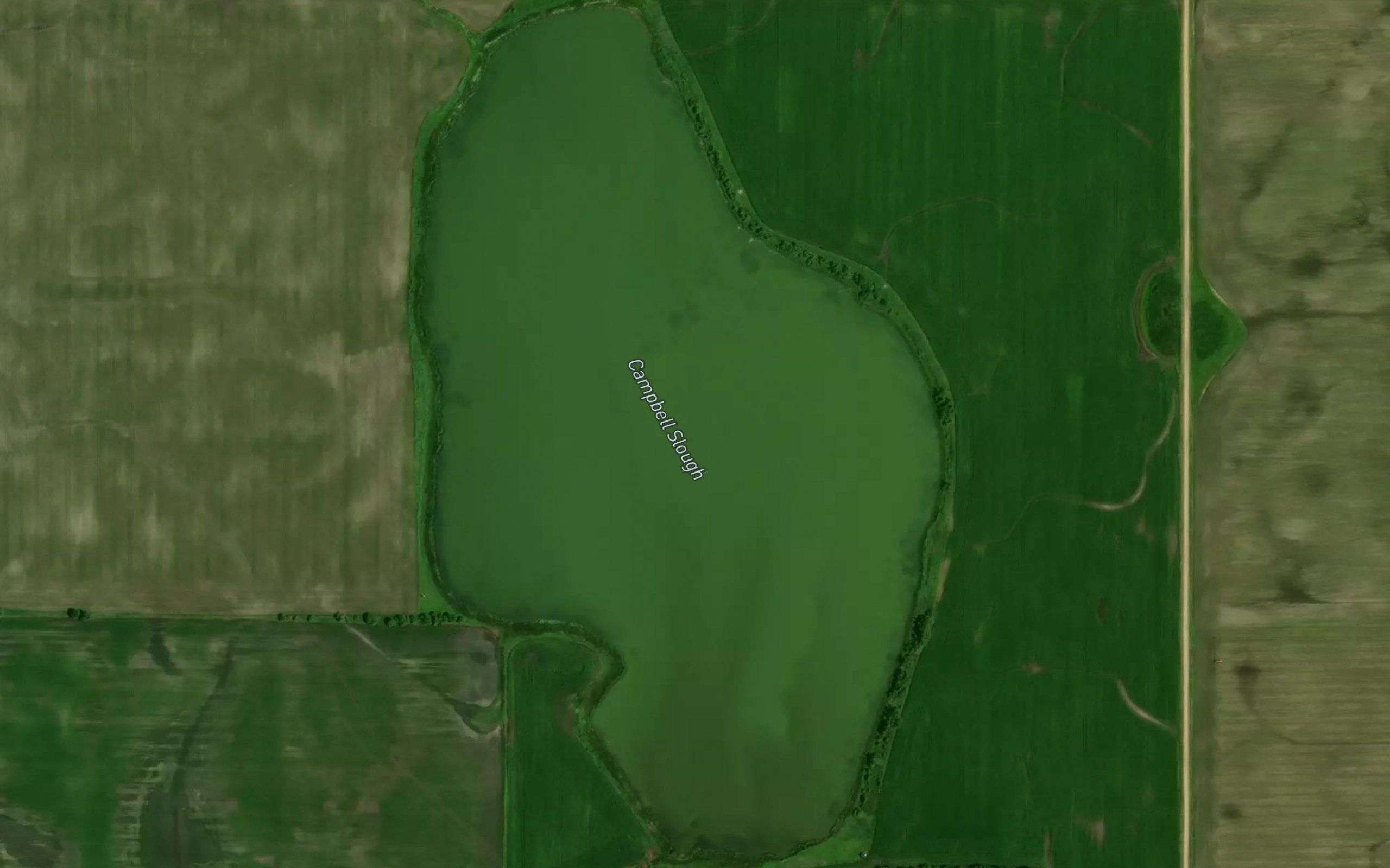 Campbell Slough