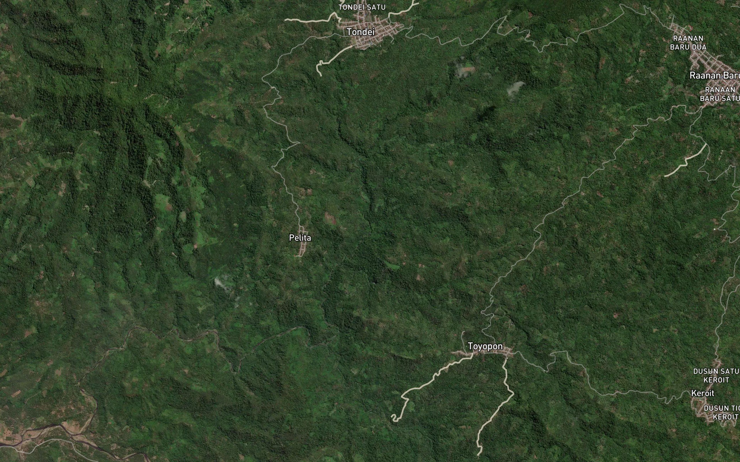 Royongan Naawangko