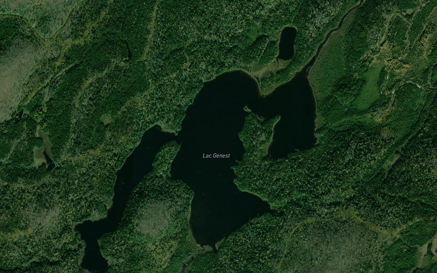 Satellite map of the Lac Genest