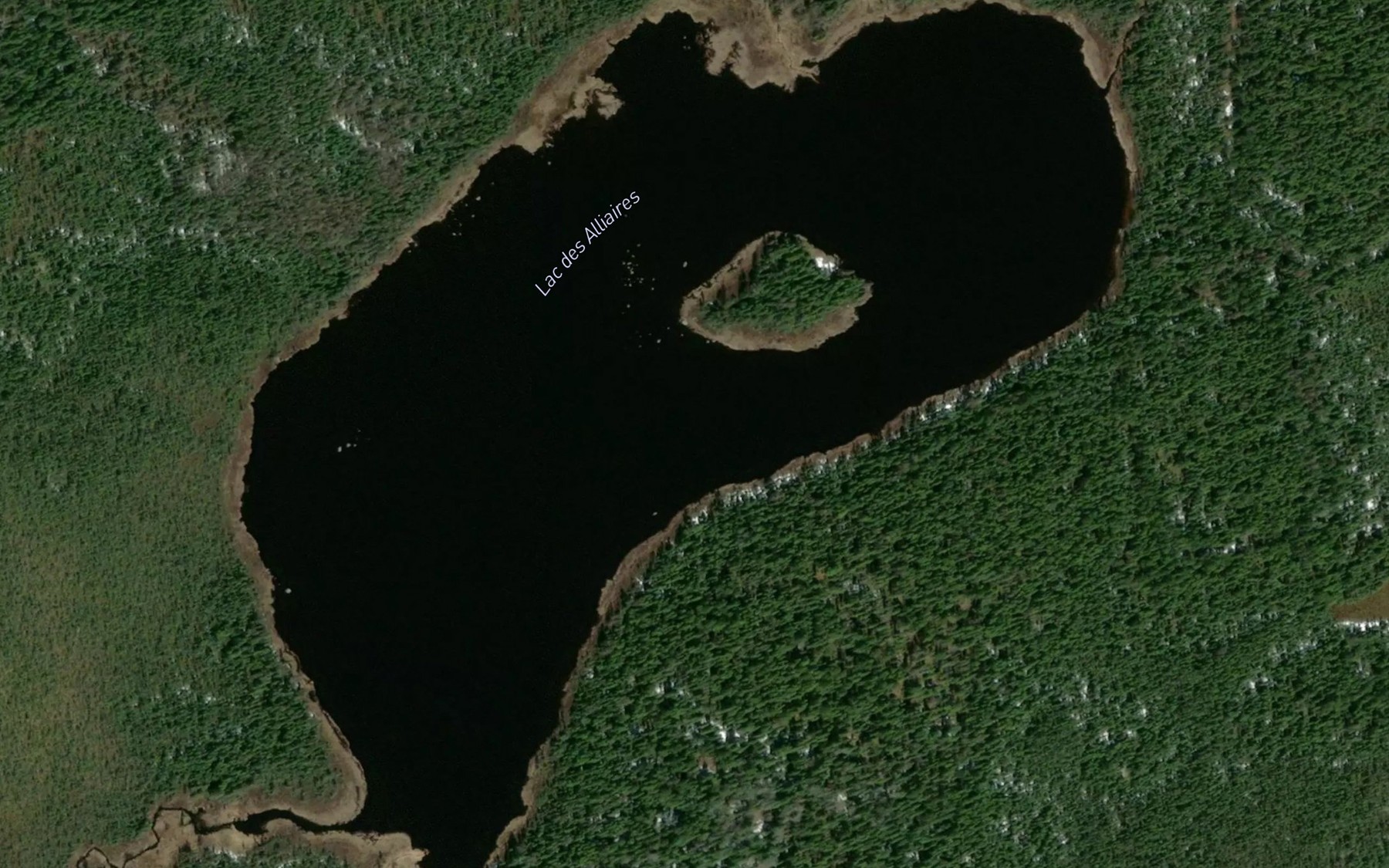 Satellite map of the Lac des Alliaires