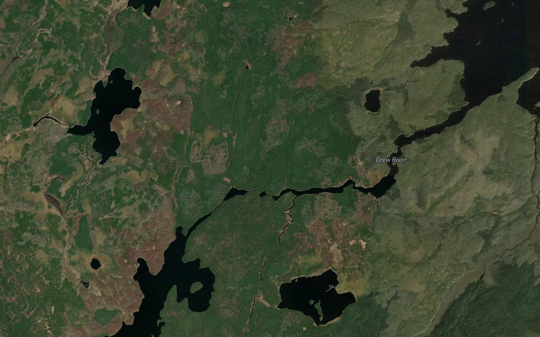 Satellite map of the Loganberry Creek