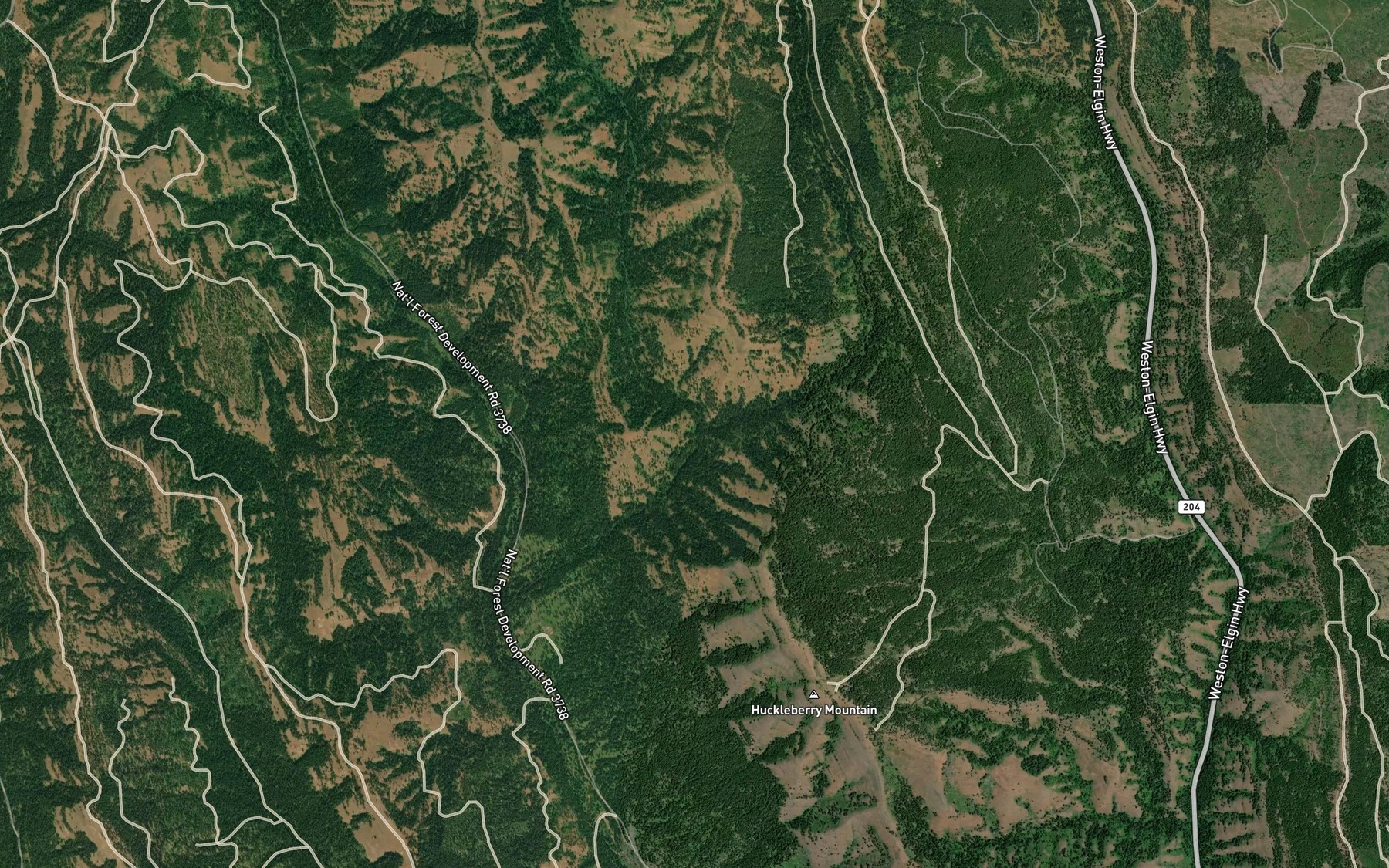 Satellite map of the Pedro Creek
