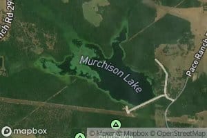 Murchison Lake