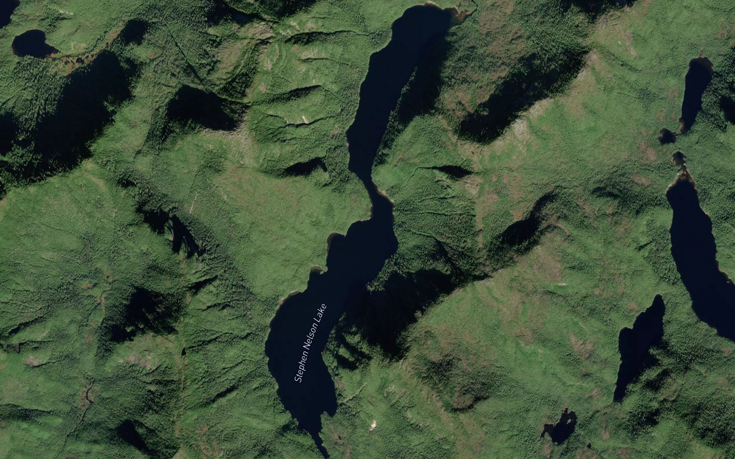 Stephen Nelson Lake