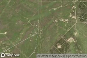 Mule Creek