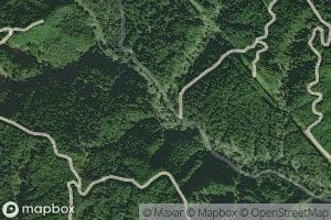 West Branch North Fork Siuslaw River