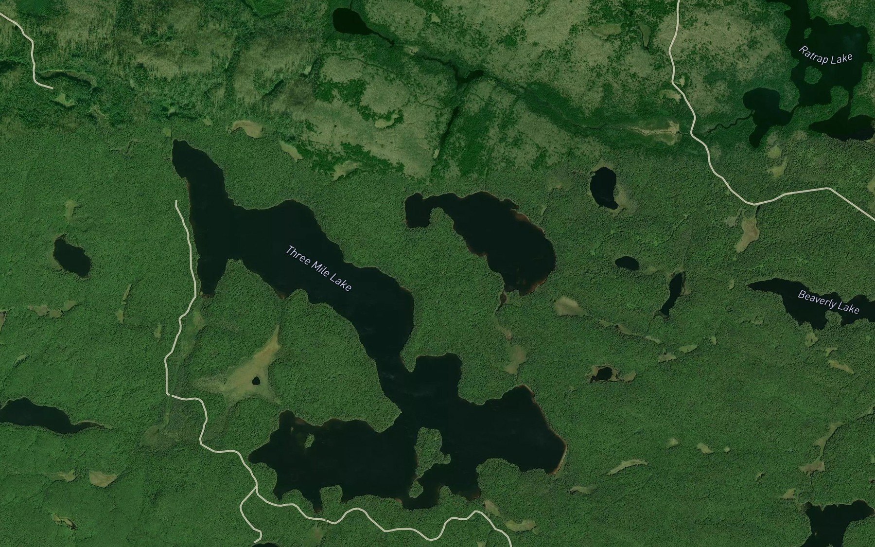 Satellite map of the Dismal Bay