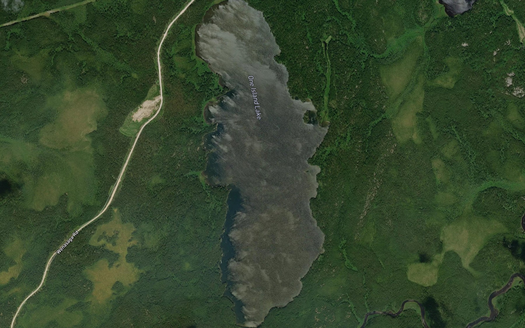 Satellite map of the One Island Lake