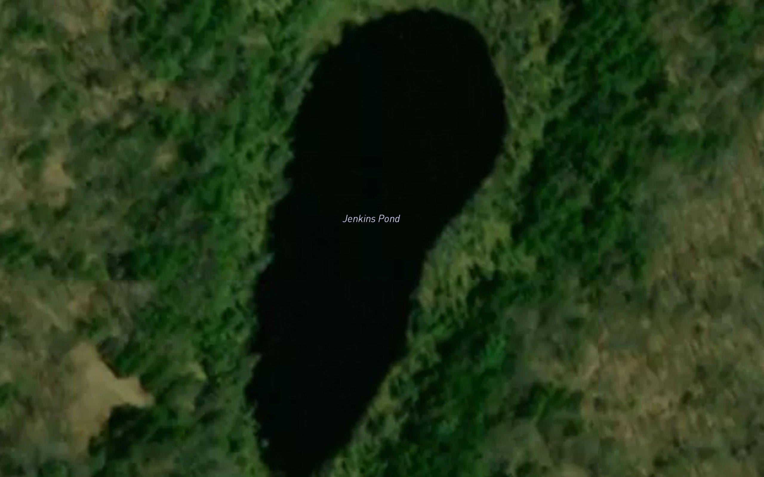 Jenkins Pond