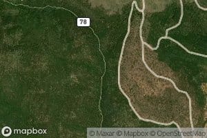 Albuquerque Trail Spring