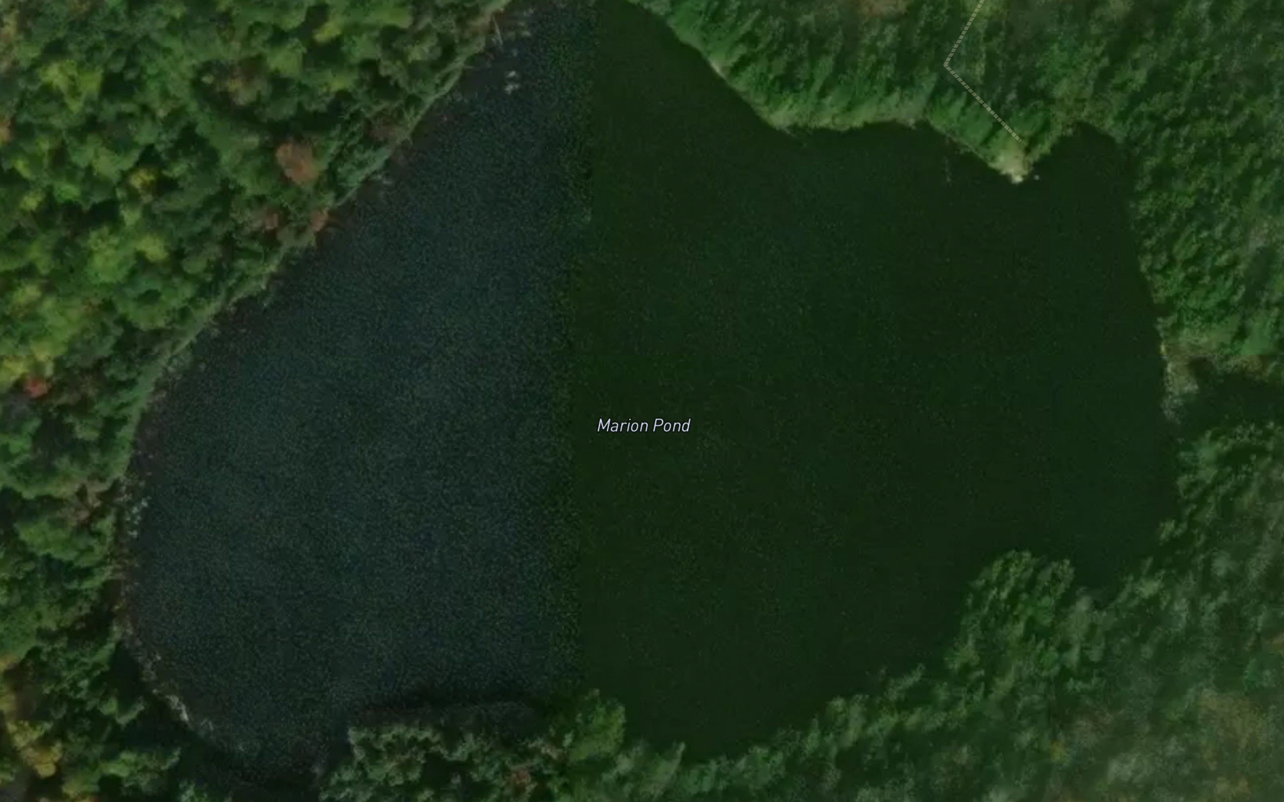 Marion Pond