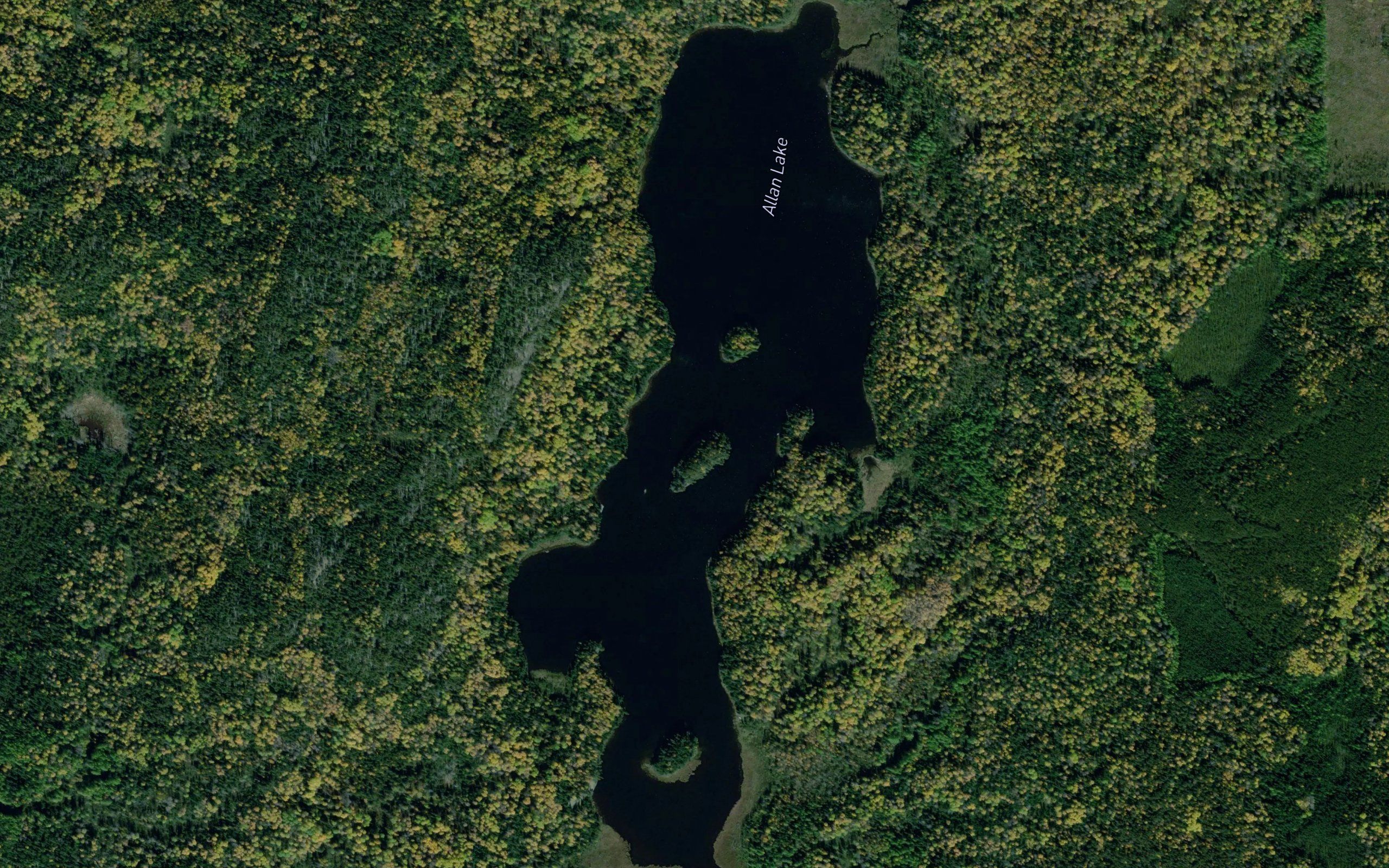 Allan Lake
