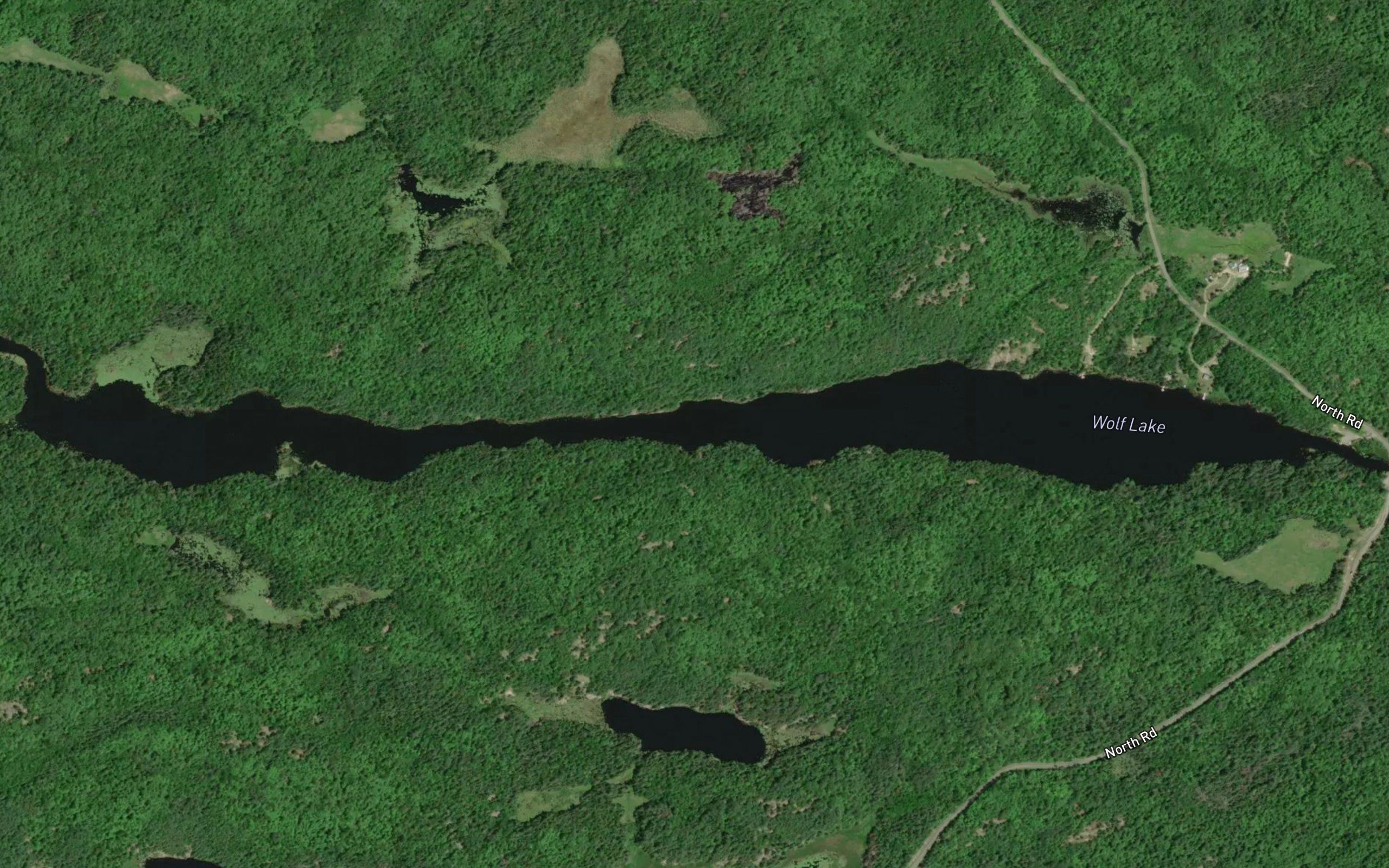 Wolf Lake
