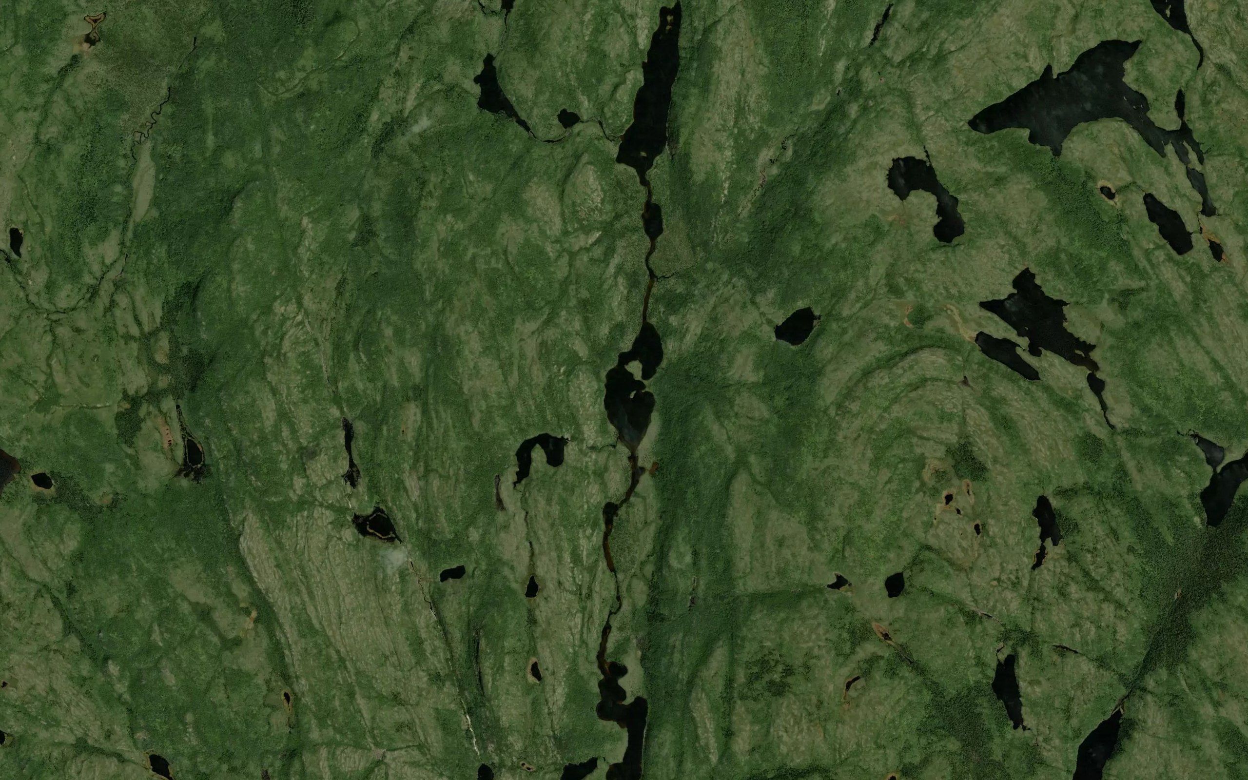 Lac Carter
