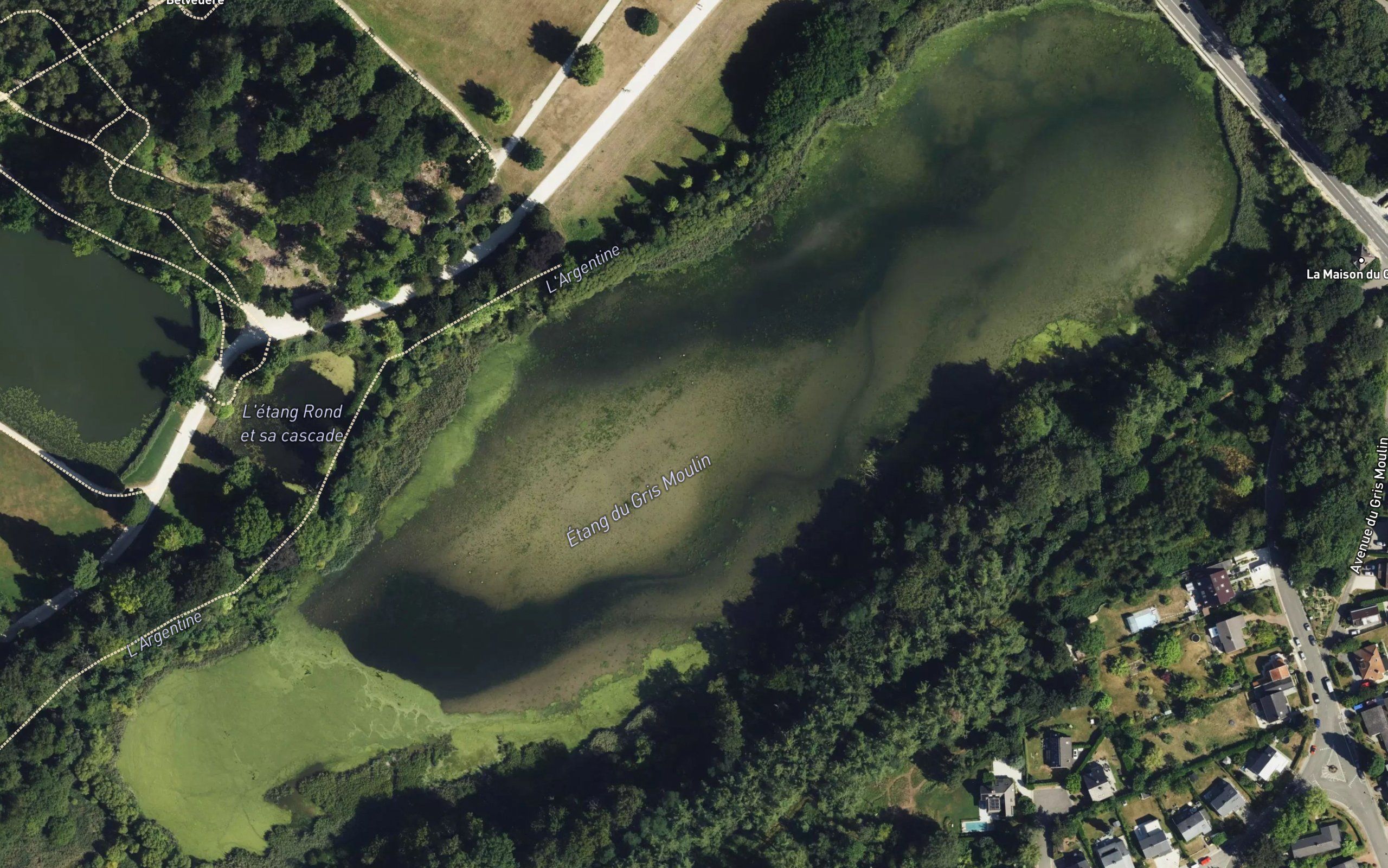 Etang du Gris Moulin