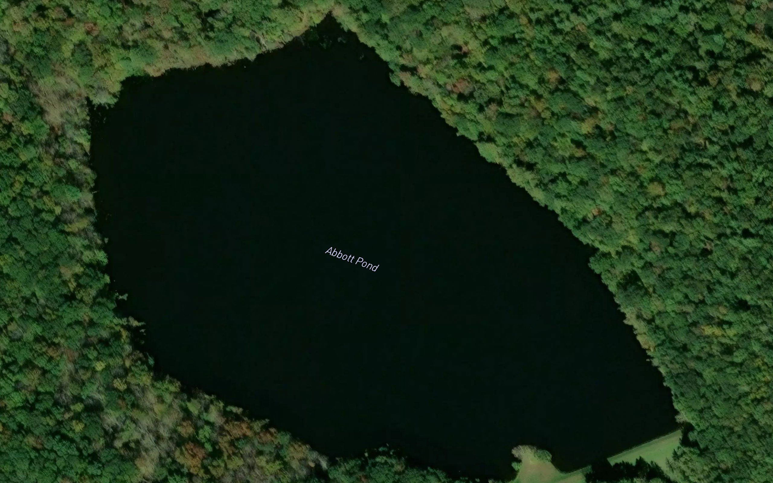 Abbott Pond