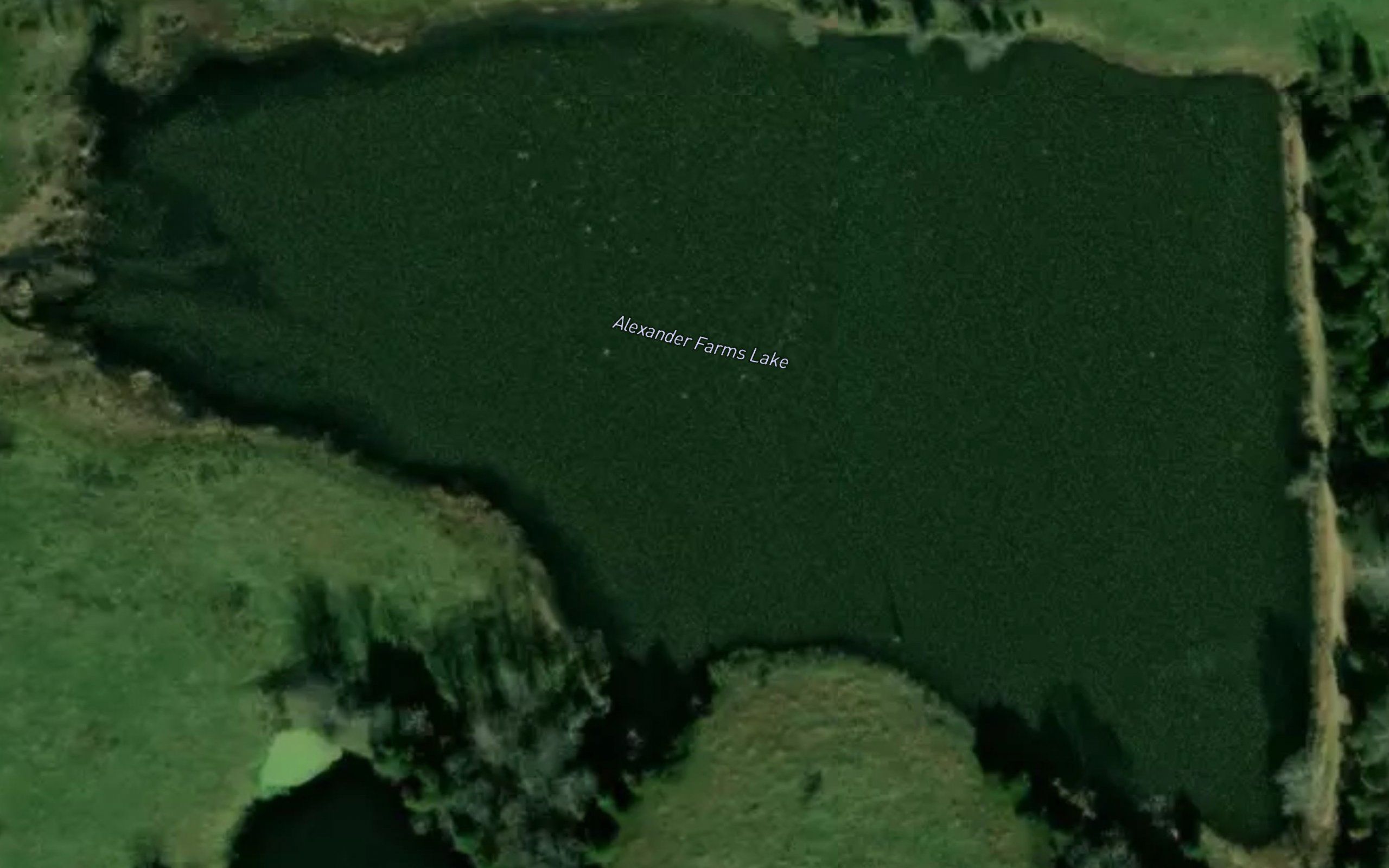 Alexander Farms Lake