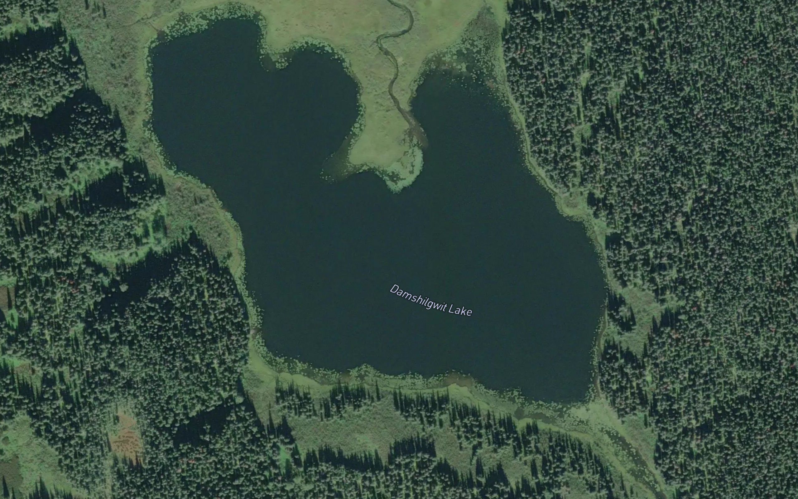 Damshilgwit Lake