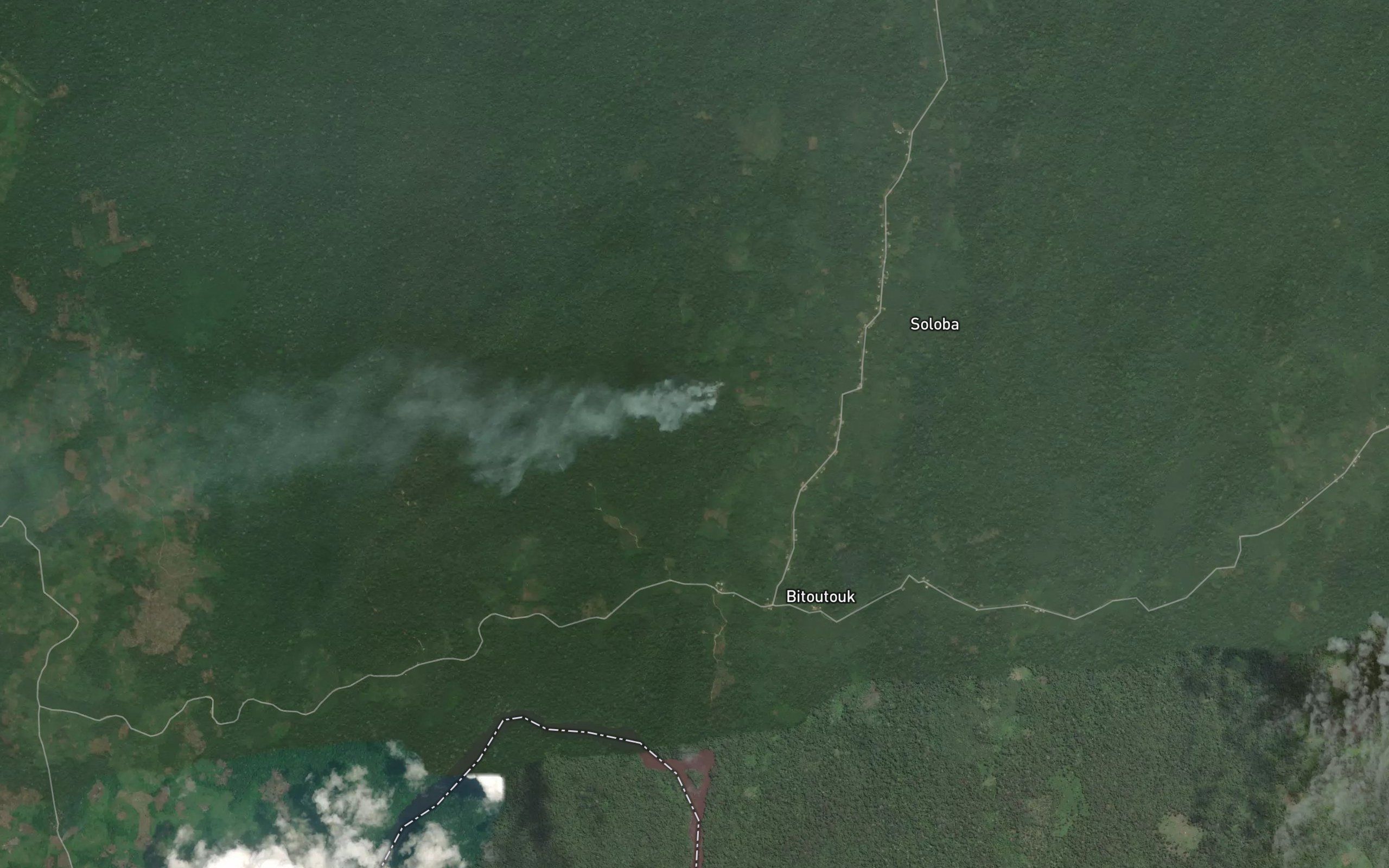 Makolo