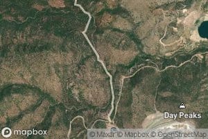 Prince Charming Spring