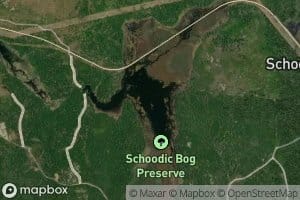 Schoodic Bog