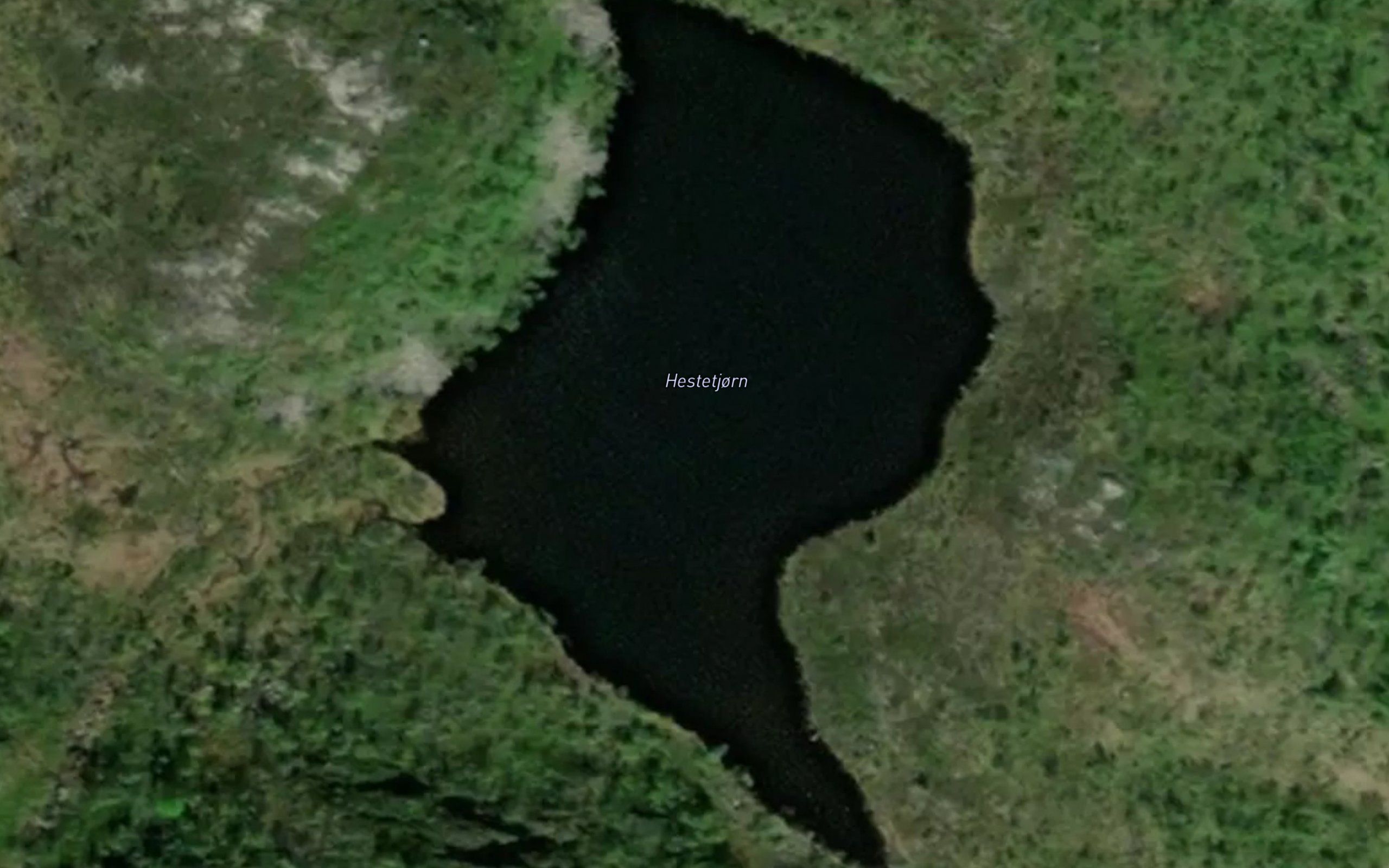 Hestetjonn