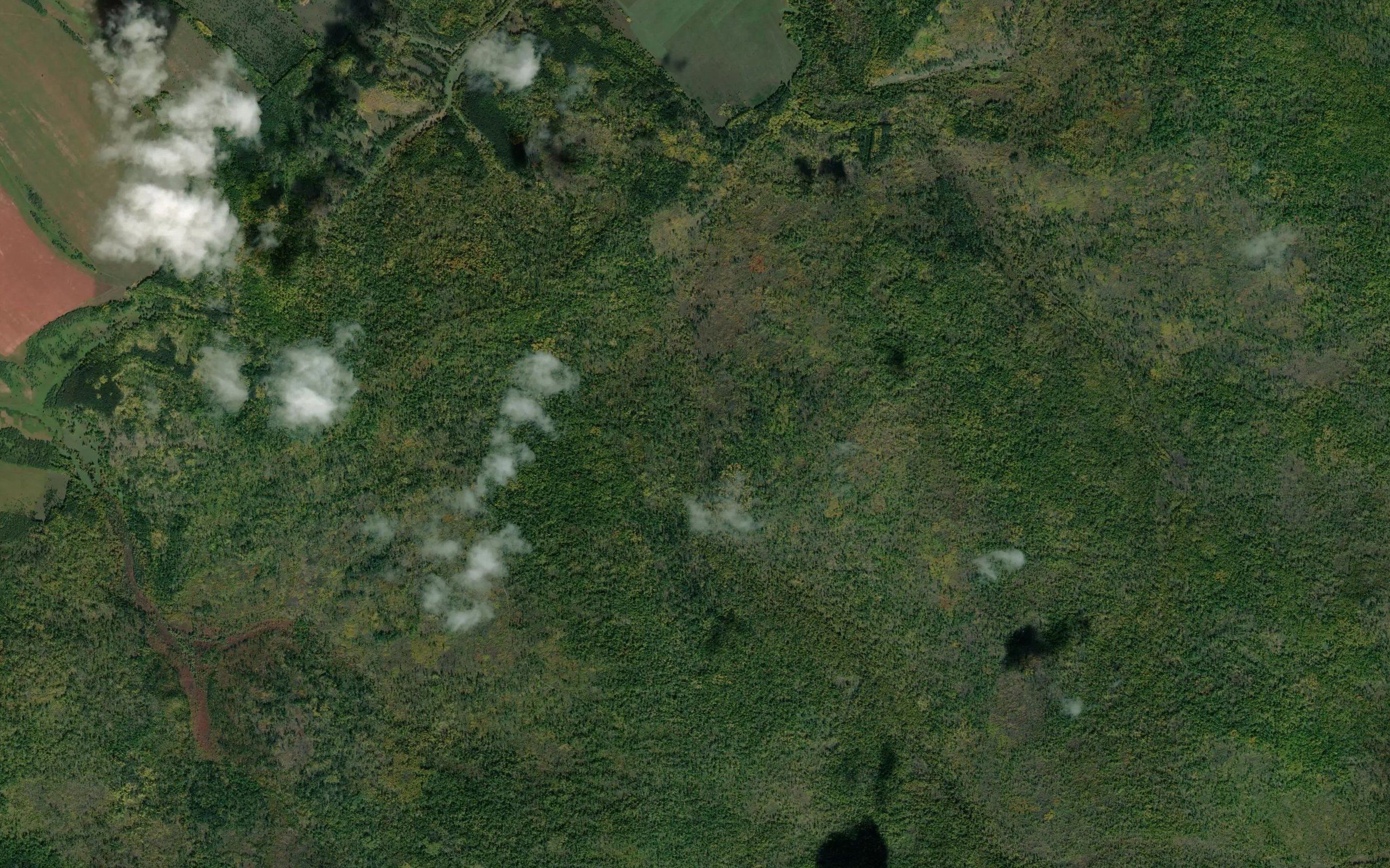 Pad' Mol'ka