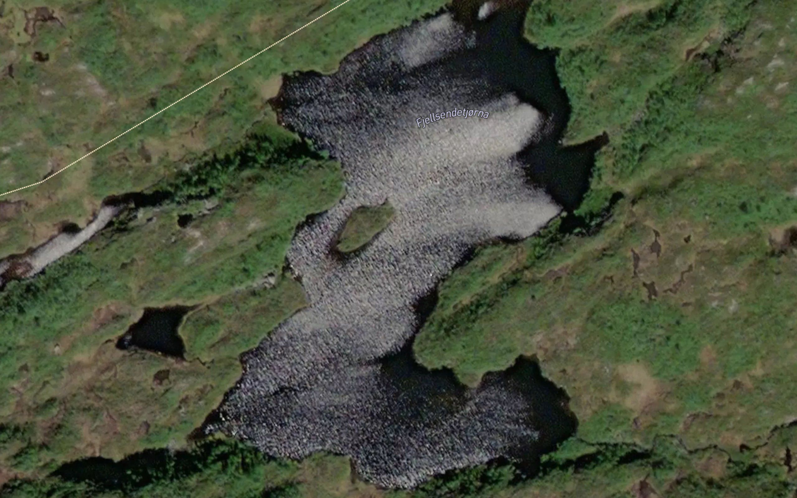Fjellsendetjorna