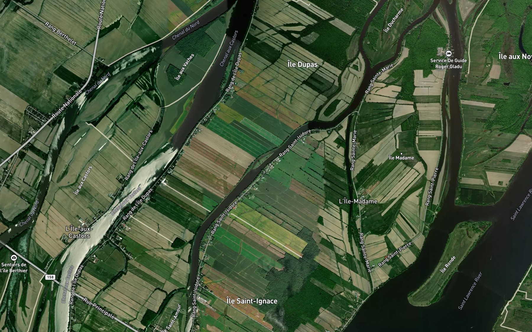 Satellite map of the Petit chenal de l'Ile Dupas